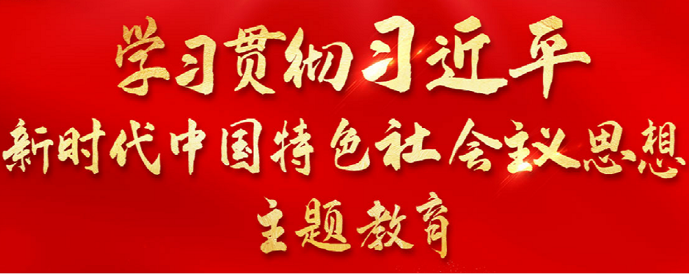 学习贯彻习近平新时代中国特色社会主义思想主题教育