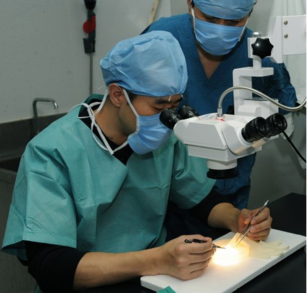 我院动物实验中心举办动物显微手术培训班